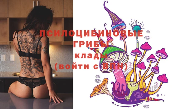 крисы Алексеевка