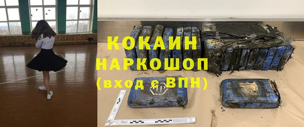 крисы Алзамай