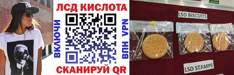 Наркотические марки 1,8мг  MEGA сайт  Электрогорск  как найти наркотики 