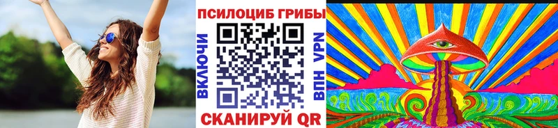 хочу Электрогорск Галлюциногенные грибы MAGIC MUSHROOMS